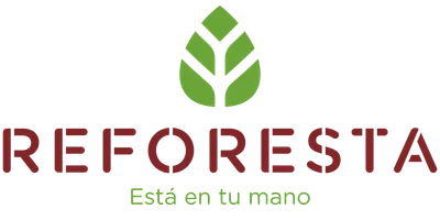 Reforesta since 10th December 2024