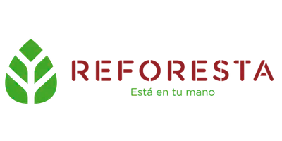 Reforesta desde el 10 de diciembre de 2024